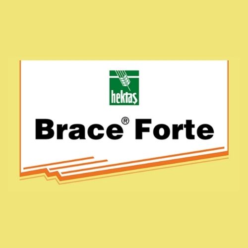 BRACE ® FORTE