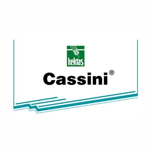 CASSİNİ®