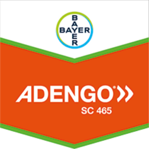 ADENGO ® SC 465 (Herbisit)