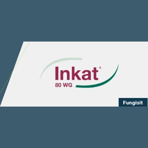 Inkat ® WG 80 (Fungisit)