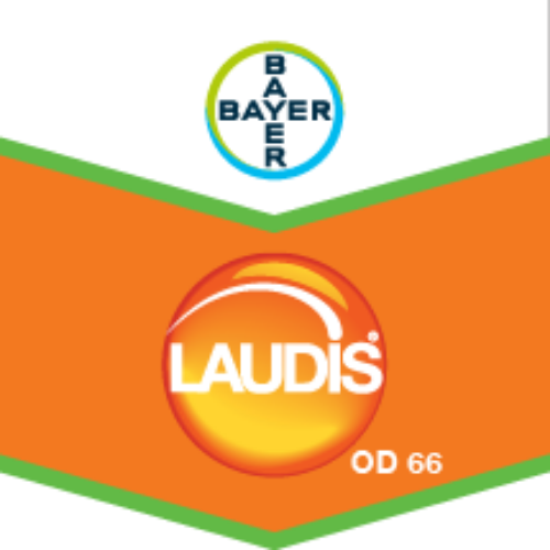 LAUDIS® OD 66 (Herbisit)