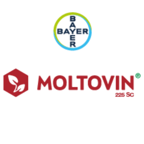 MOLTOVIN SC 225 (Fungisit)