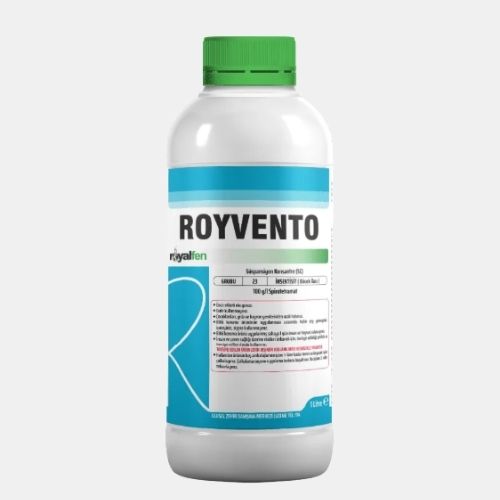 ROYVENTO