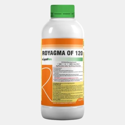 ROYAGMA OF 120