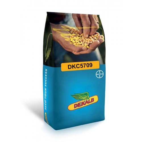  DKC5709 Mısır Tohumu