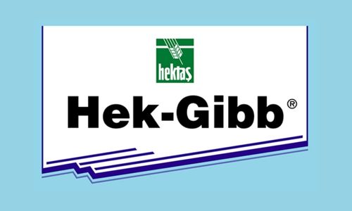 Görsel