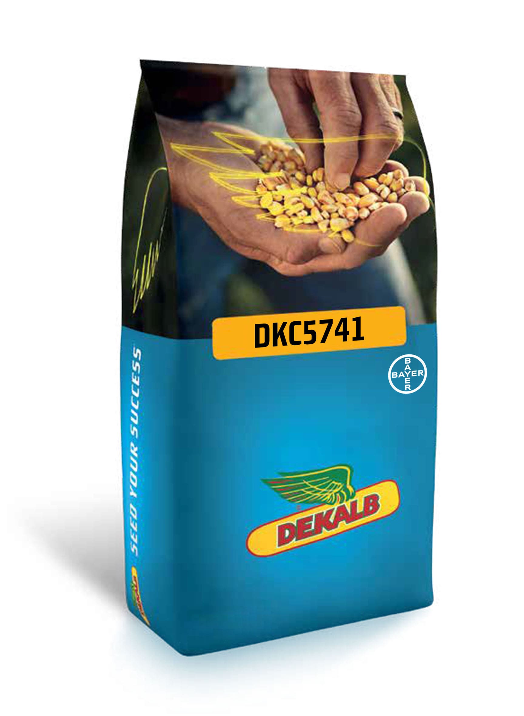 default title